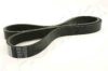 ASHIKA 112-6PK1135 V-Ribbed Belts